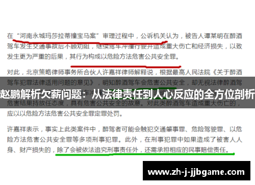 赵鹏解析欠薪问题：从法律责任到人心反应的全方位剖析