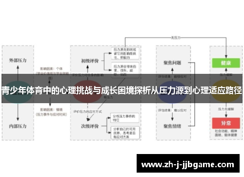 青少年体育中的心理挑战与成长困境探析从压力源到心理适应路径